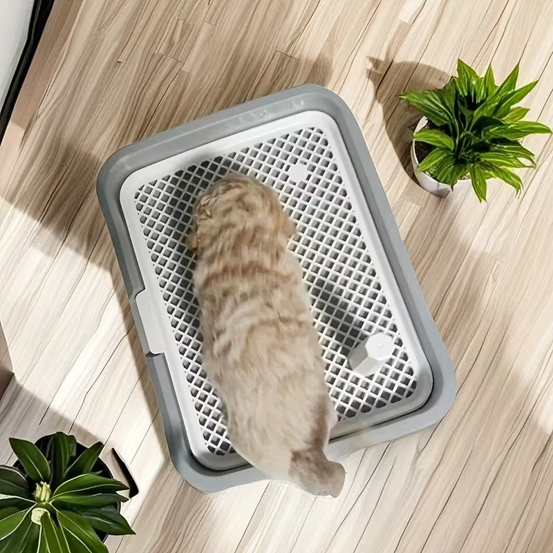 Sanitário para cães pequenos